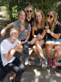 Alkkicken